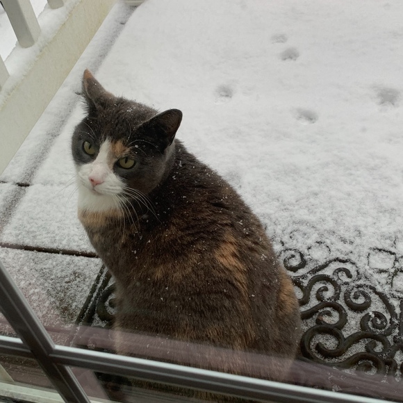 Meet your Posher, Kimberly - Picture 1 of 1